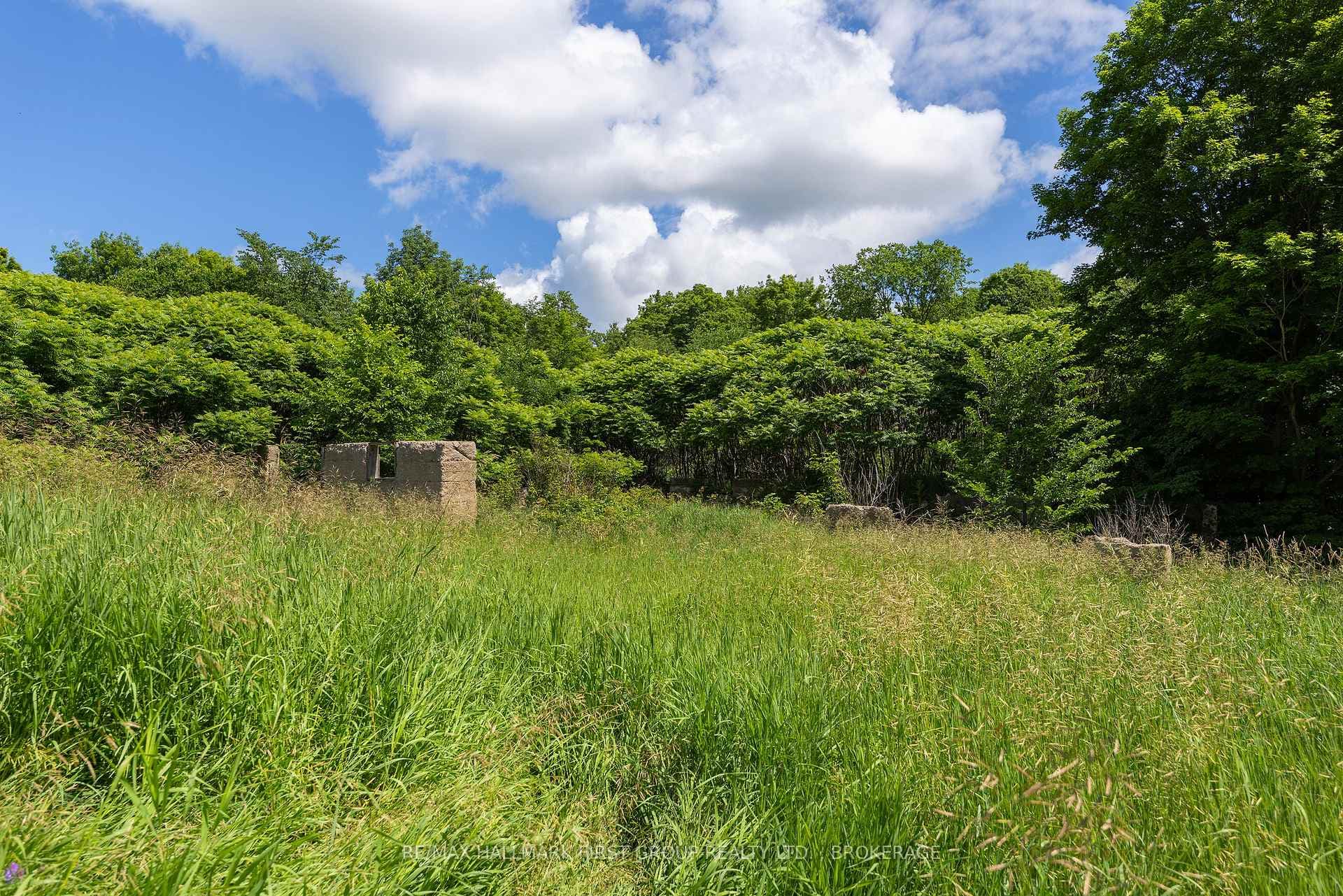 812 Buck Hollow Lane photo 47