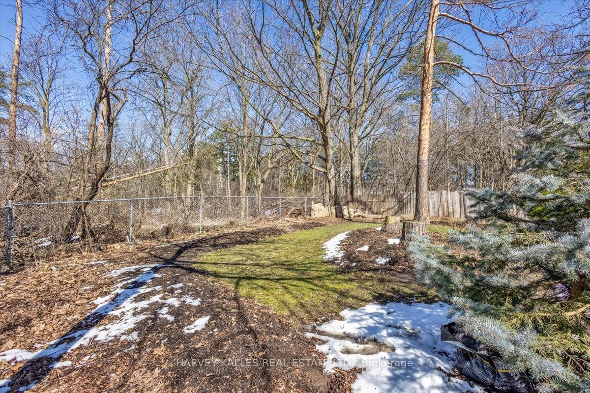 50 Purdon Drive photo 37