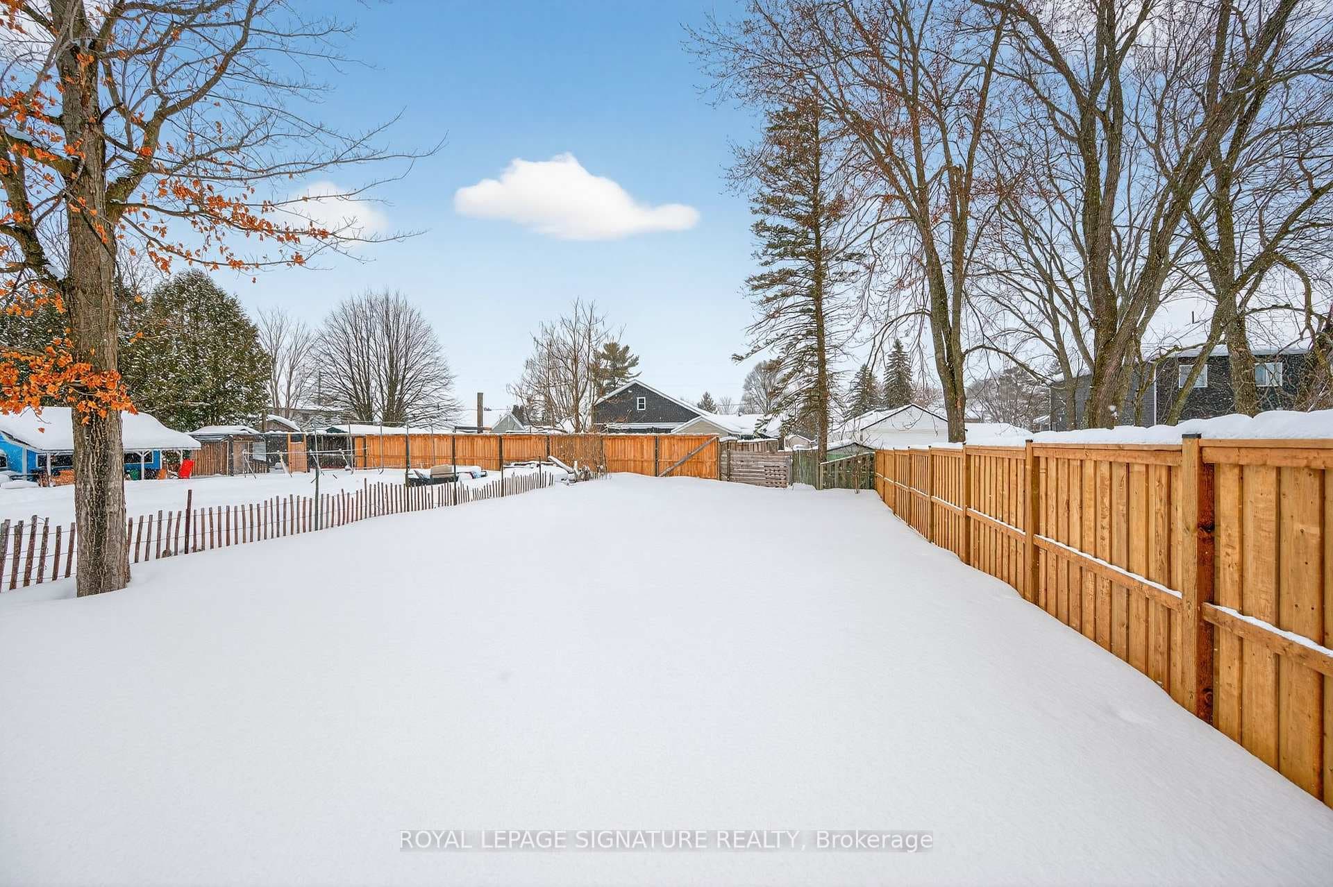 125A Sydenham Street photo 22