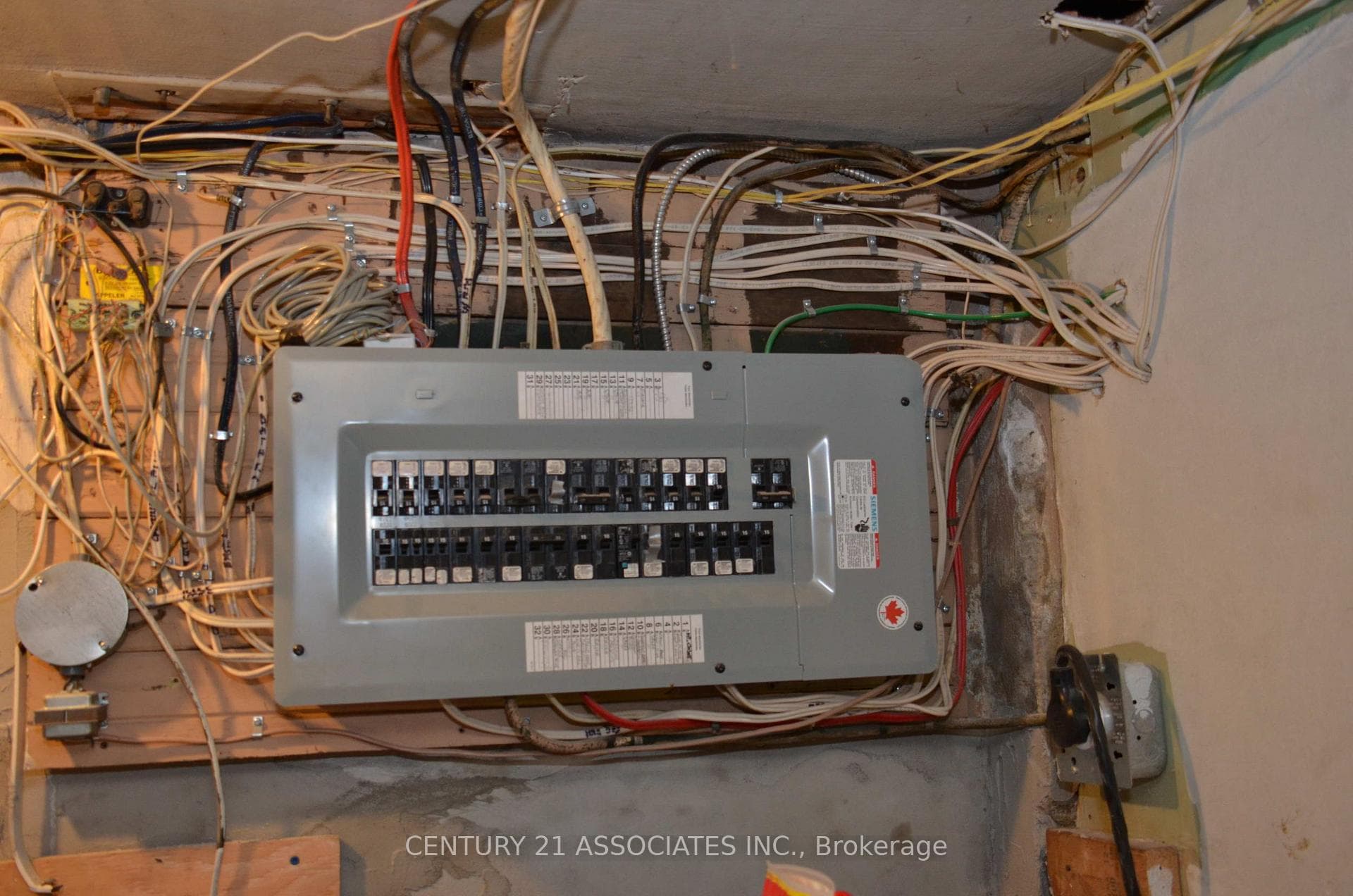 78 Castlefield Avenue photo 34