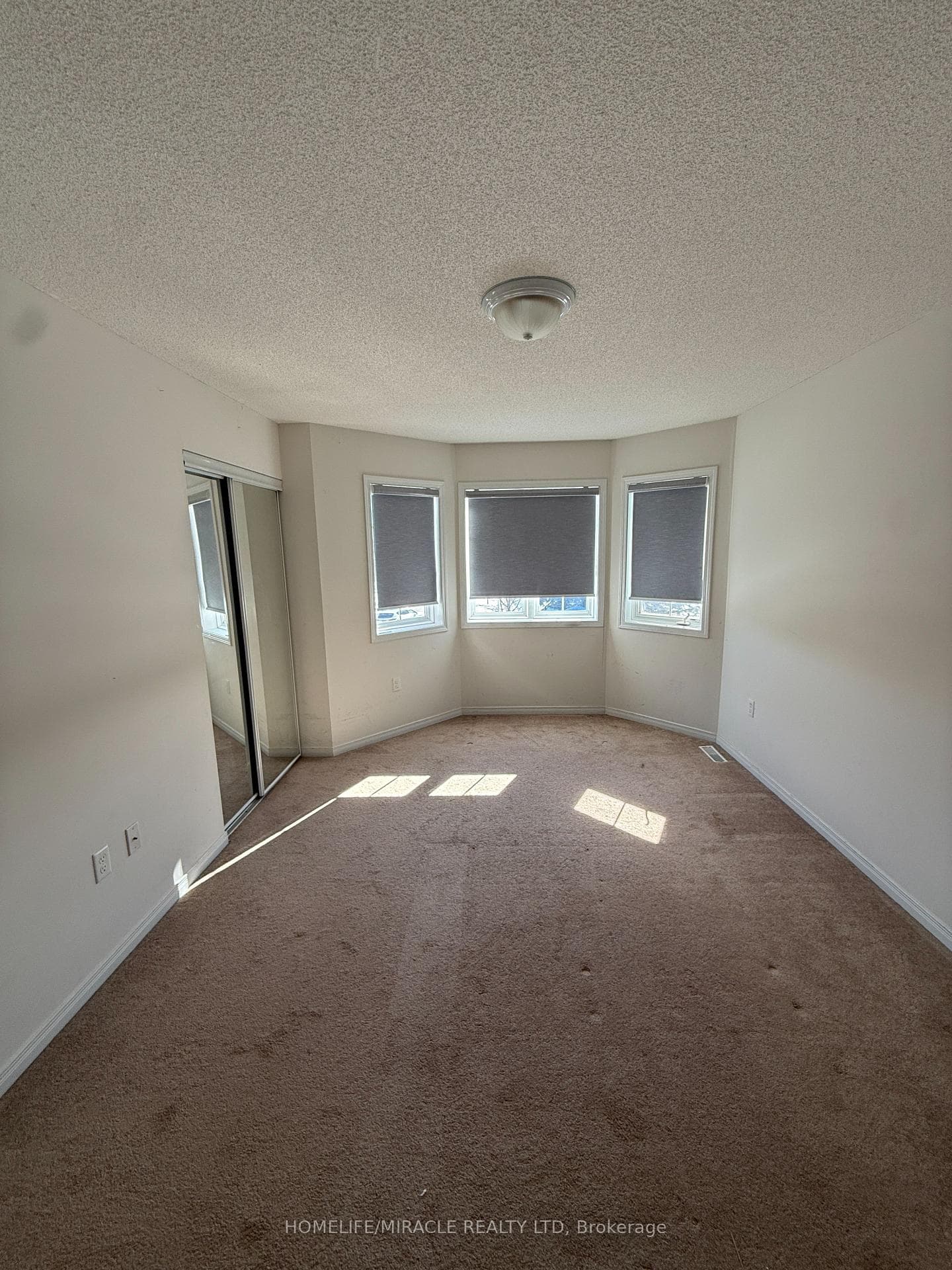 20 William Paddison Drive photo 21