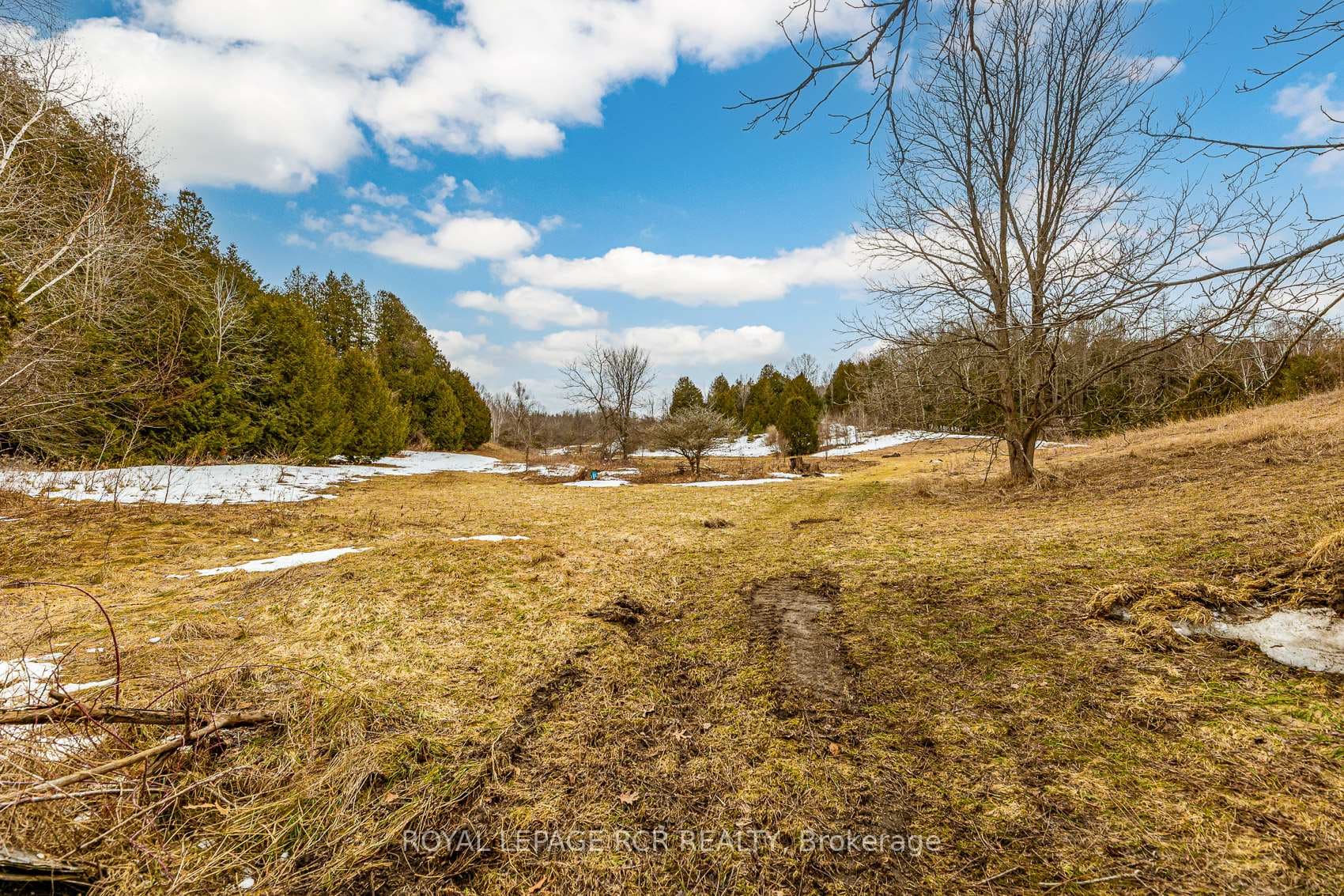 17130 The Gore Road photo 9