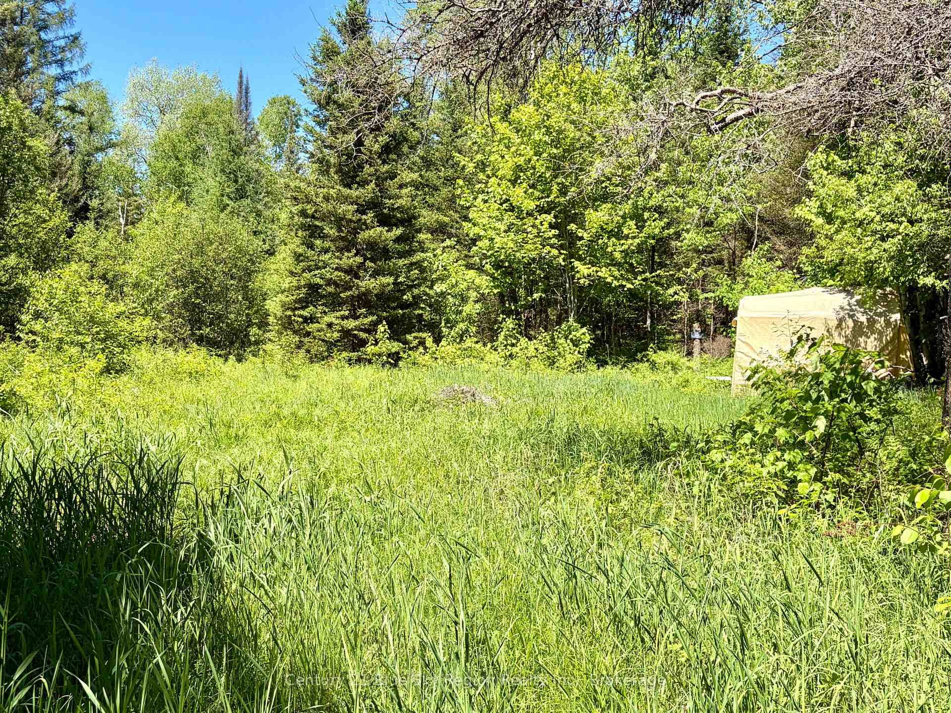 324 Proudfoot Road photo 22