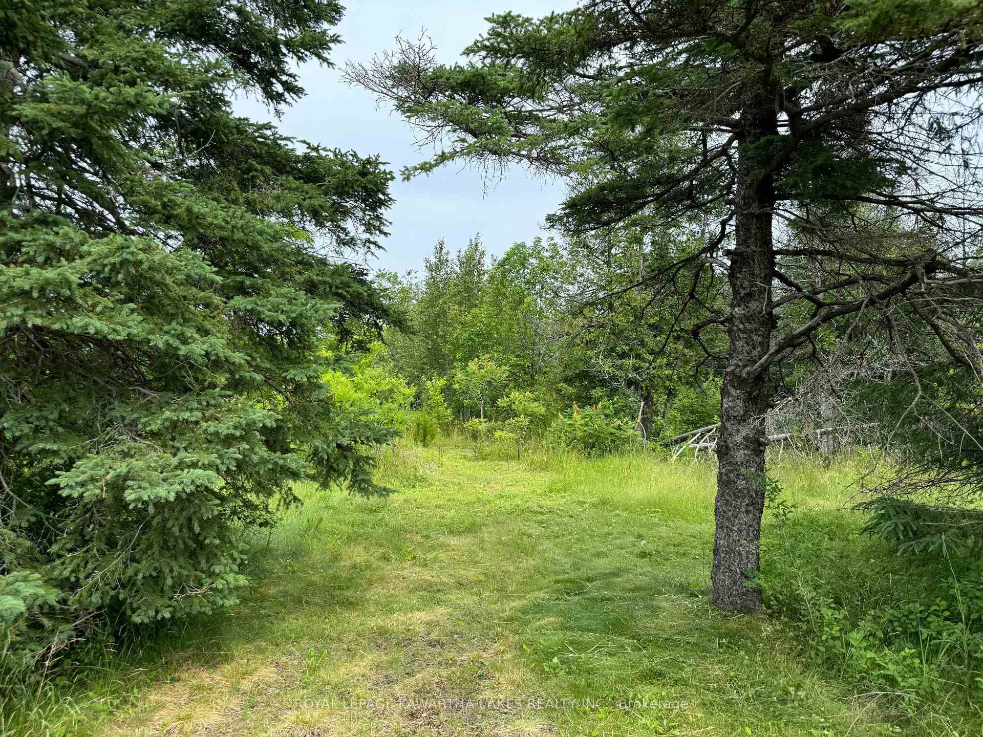 1405 Portage Road photo 6