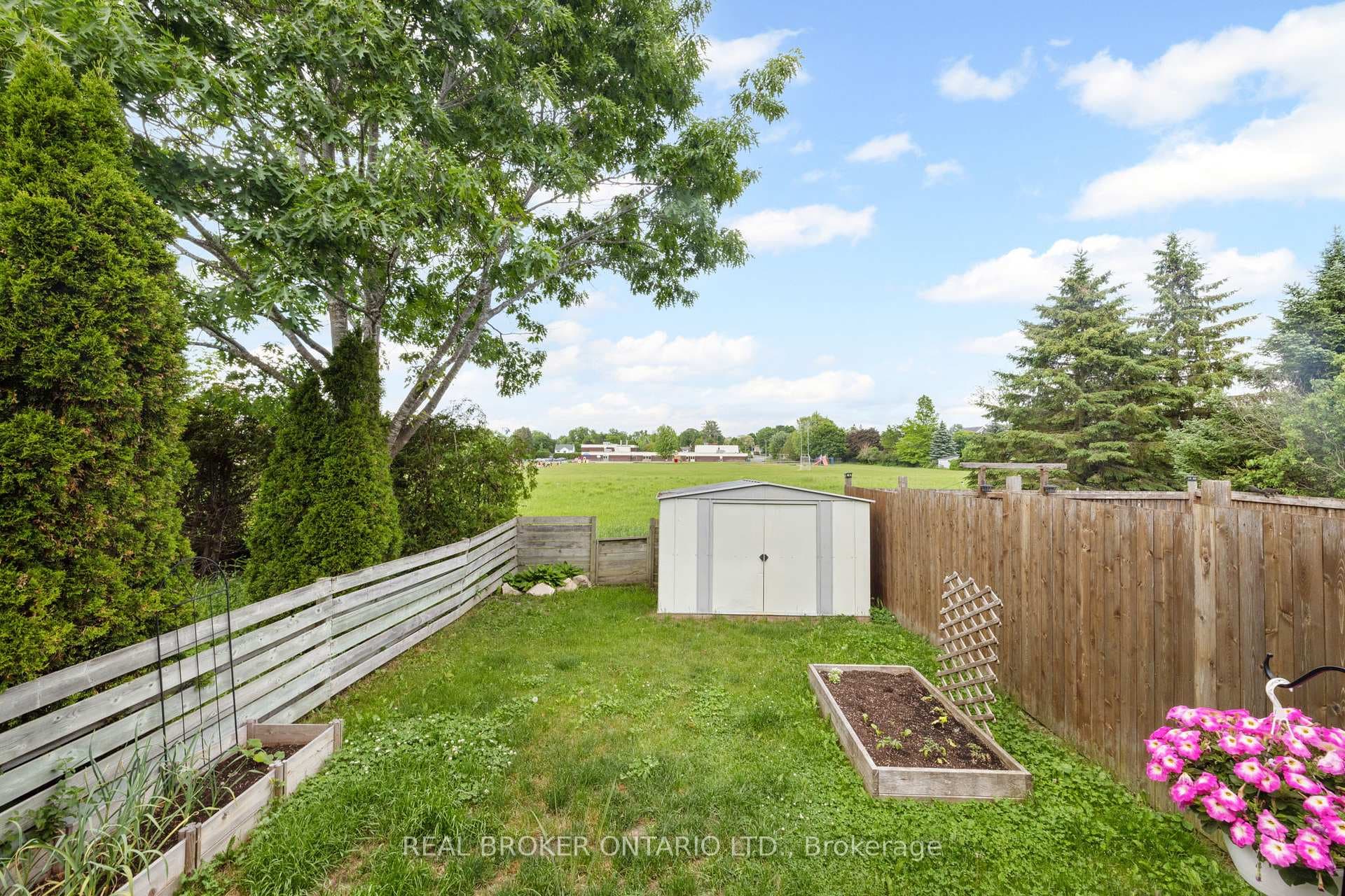 223 Jamieson Street photo 34