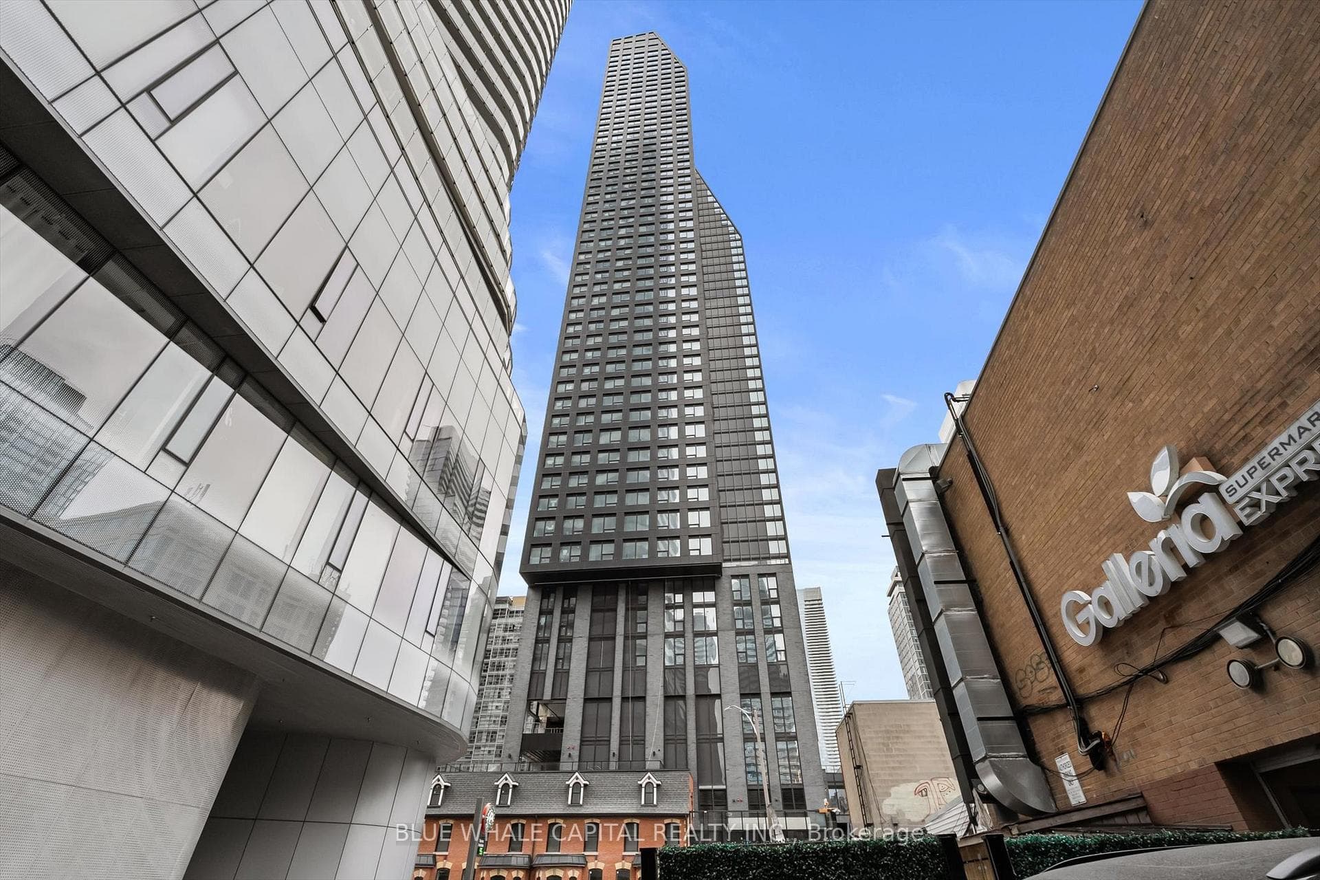 8 Wellesley Street Unit 1006 photo 2