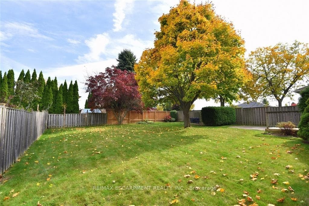 49 Nellida Crescent photo 40