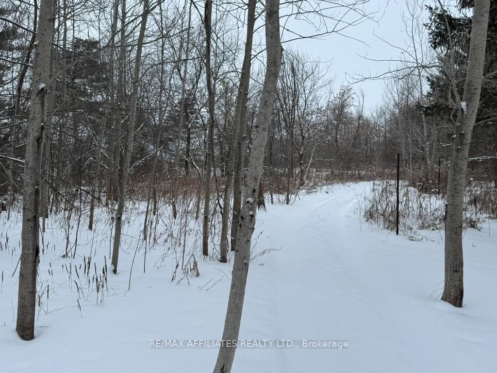 951 DU CASTOR Road photo 32