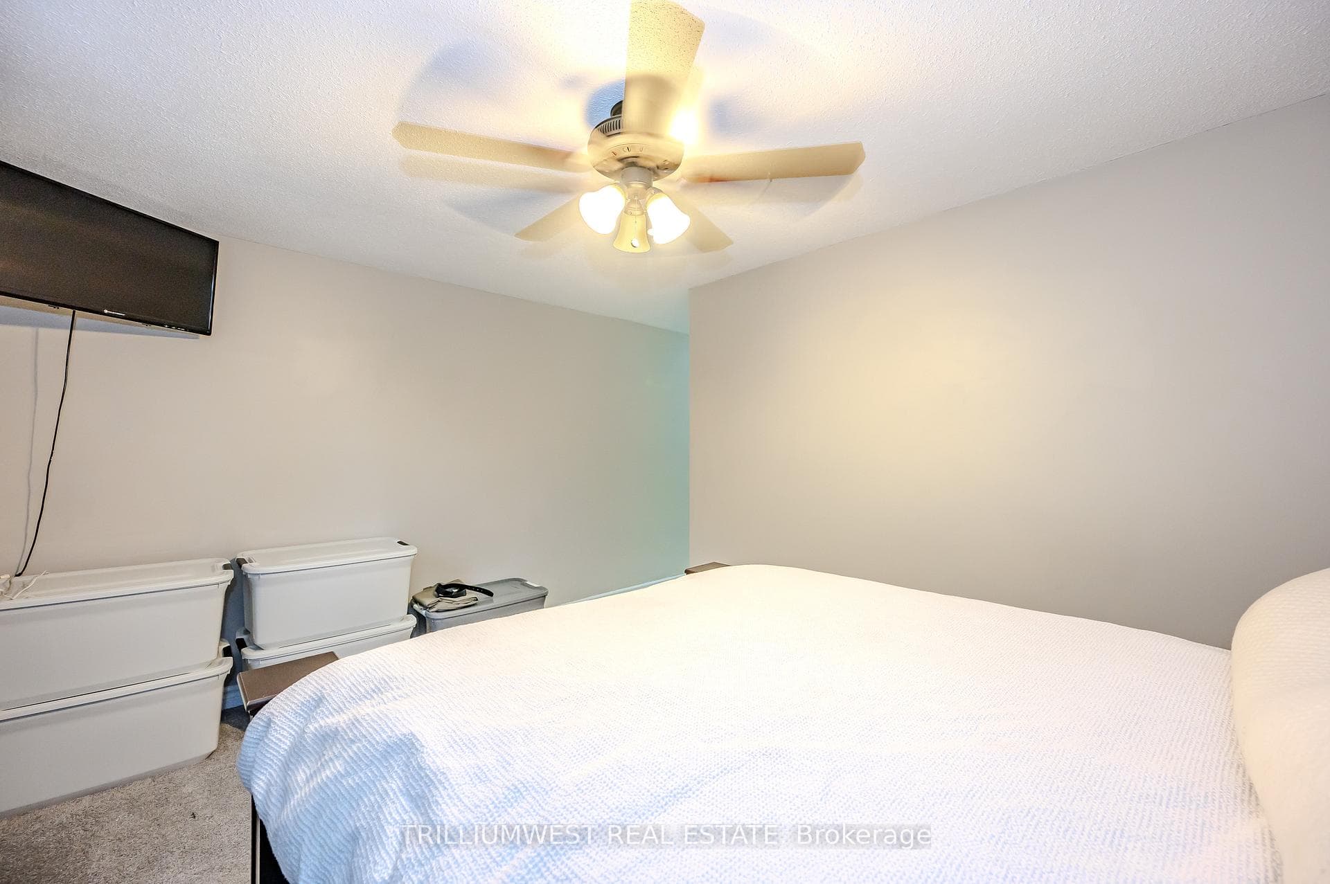 14 Williamsburg Road Unit 48 photo 22
