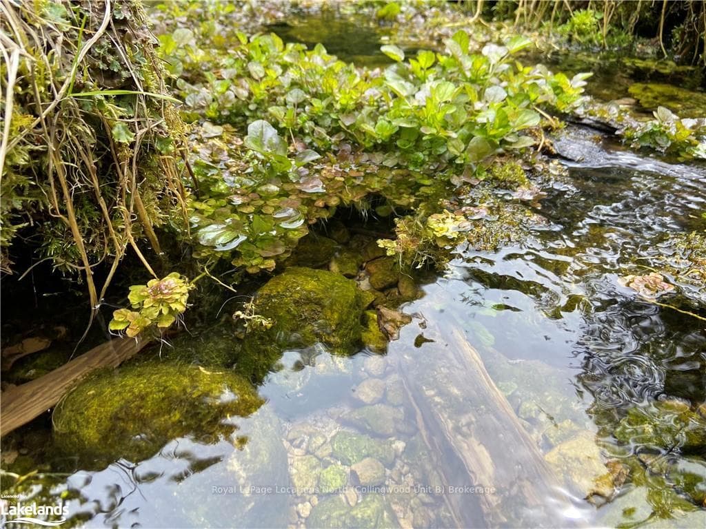 Ever-flowing natural spring at the back of the pro