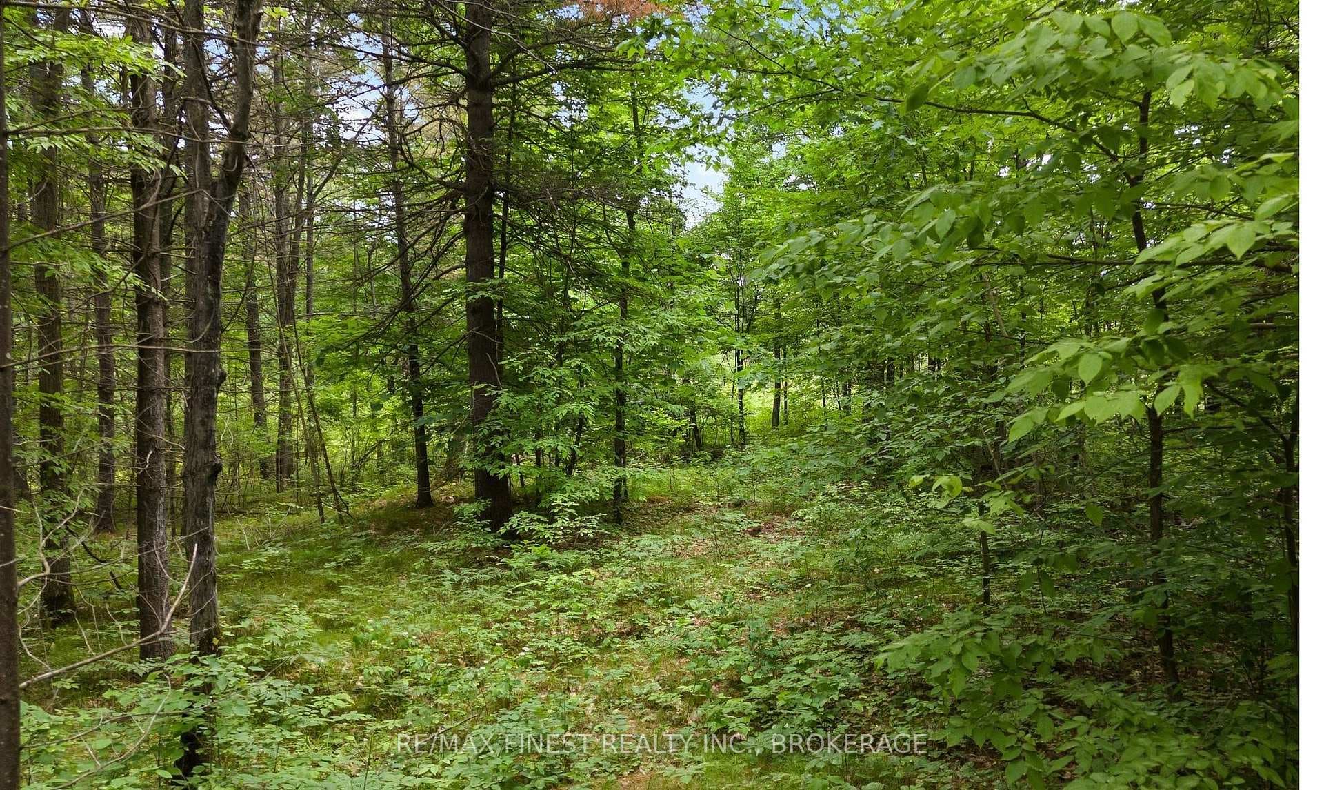 Lot 16 Echo Lake Road photo 1