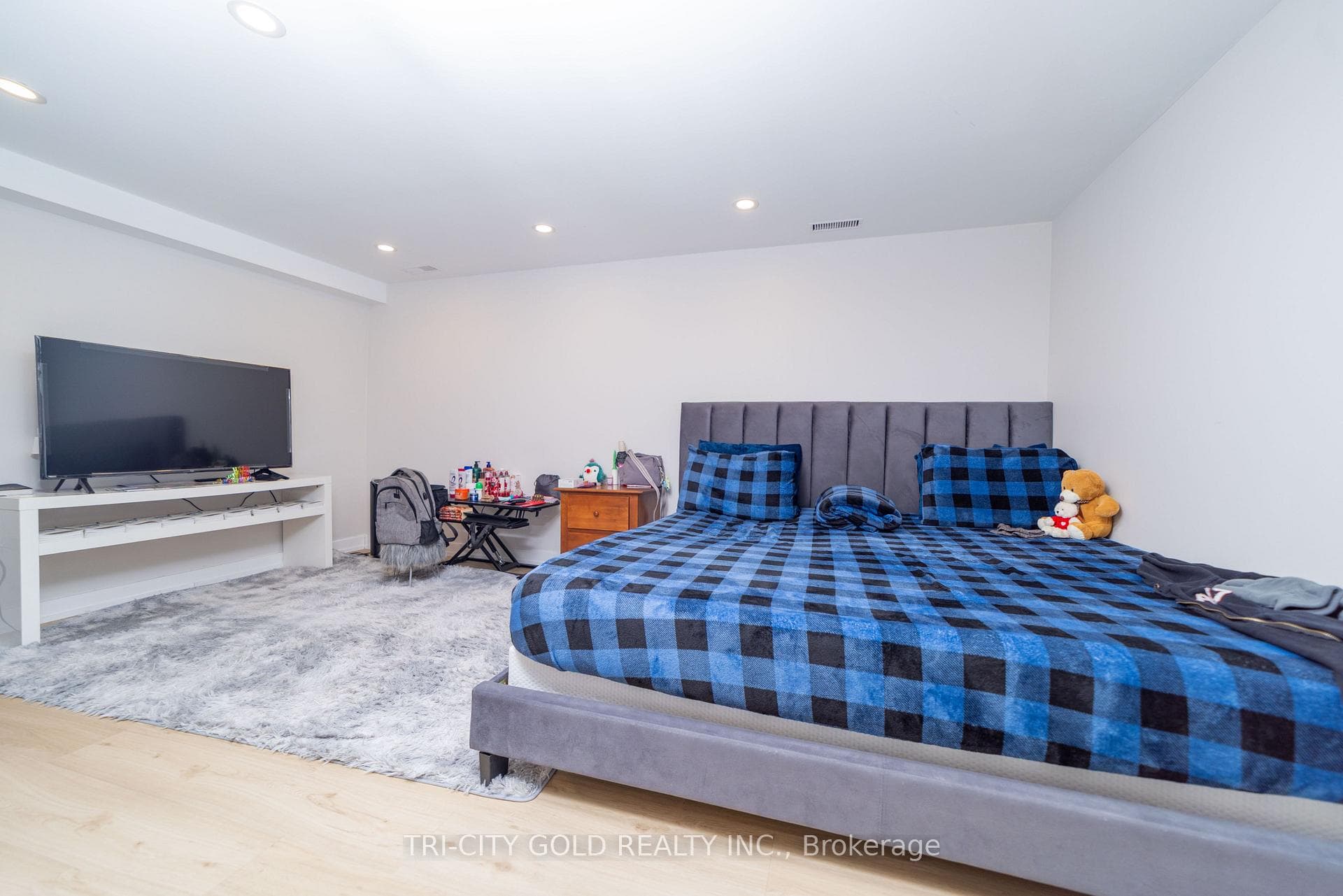 3 Holmstead Court photo 14