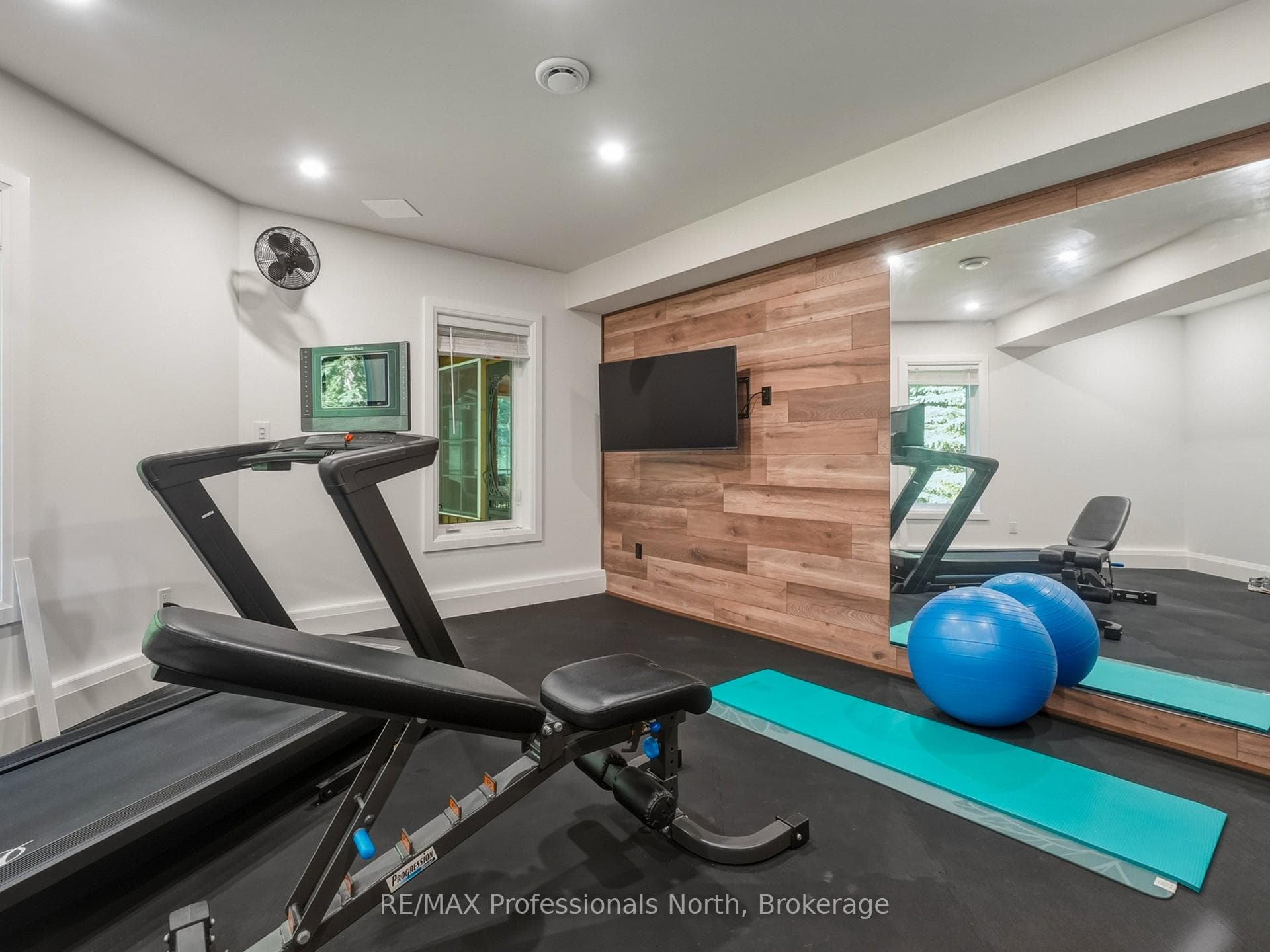 Lower level - home gym
