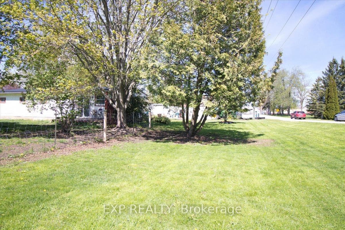 252 Queen Street photo 31