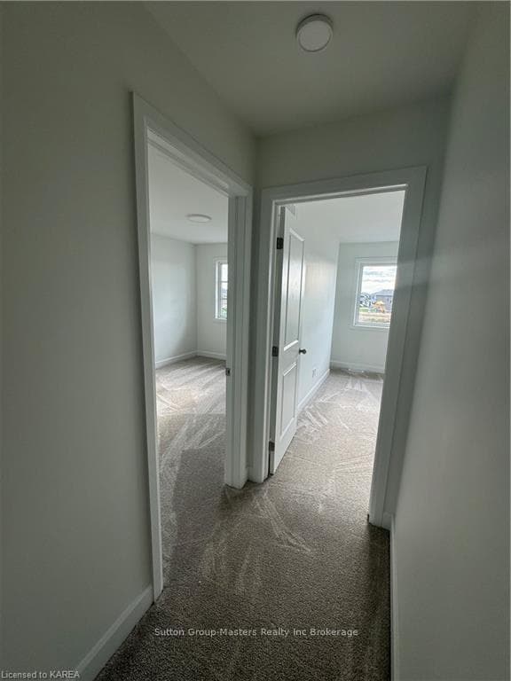 228 DR RICHARD JAMES Crescent photo 15
