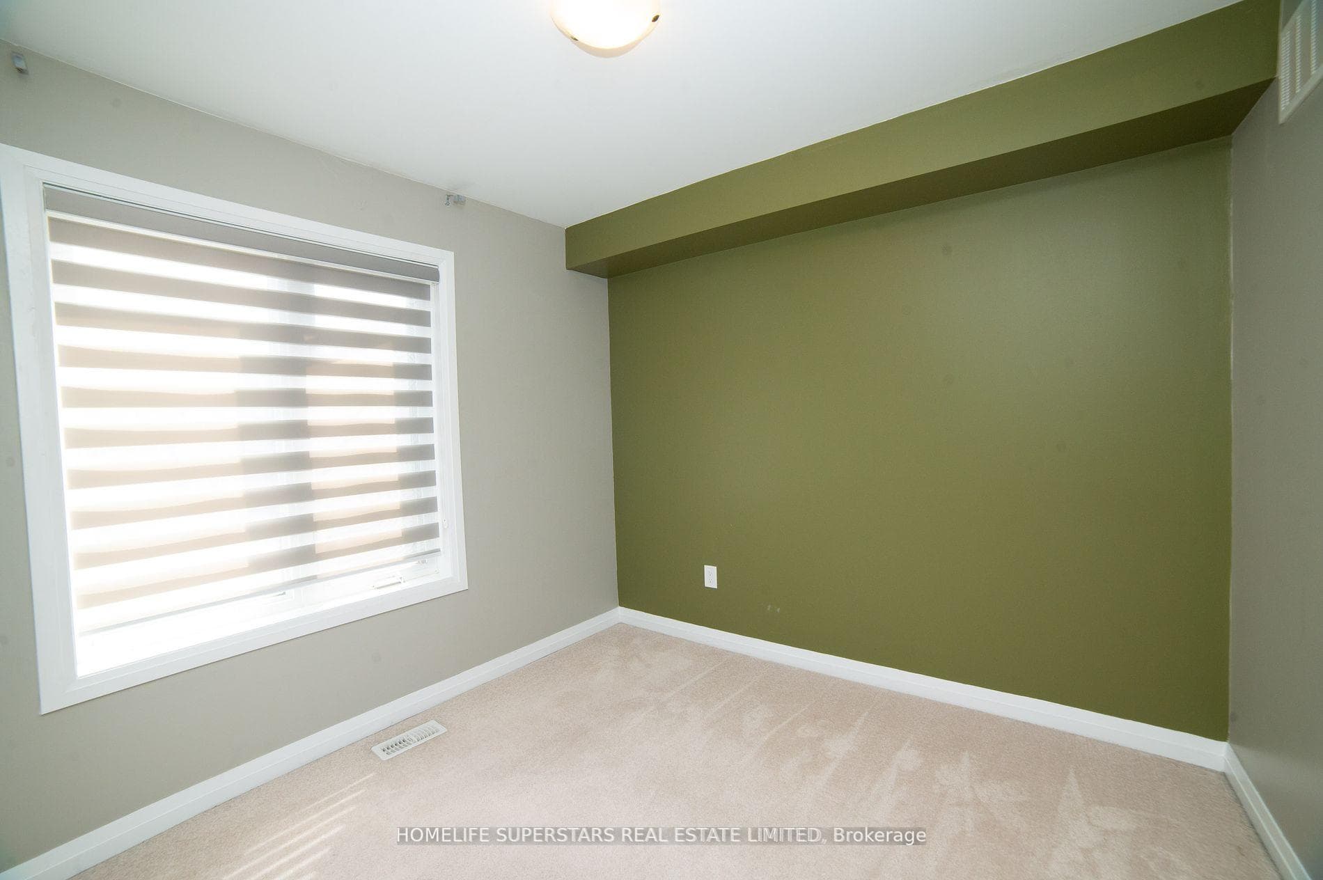 133 Stanley Greene Boulevard photo 23