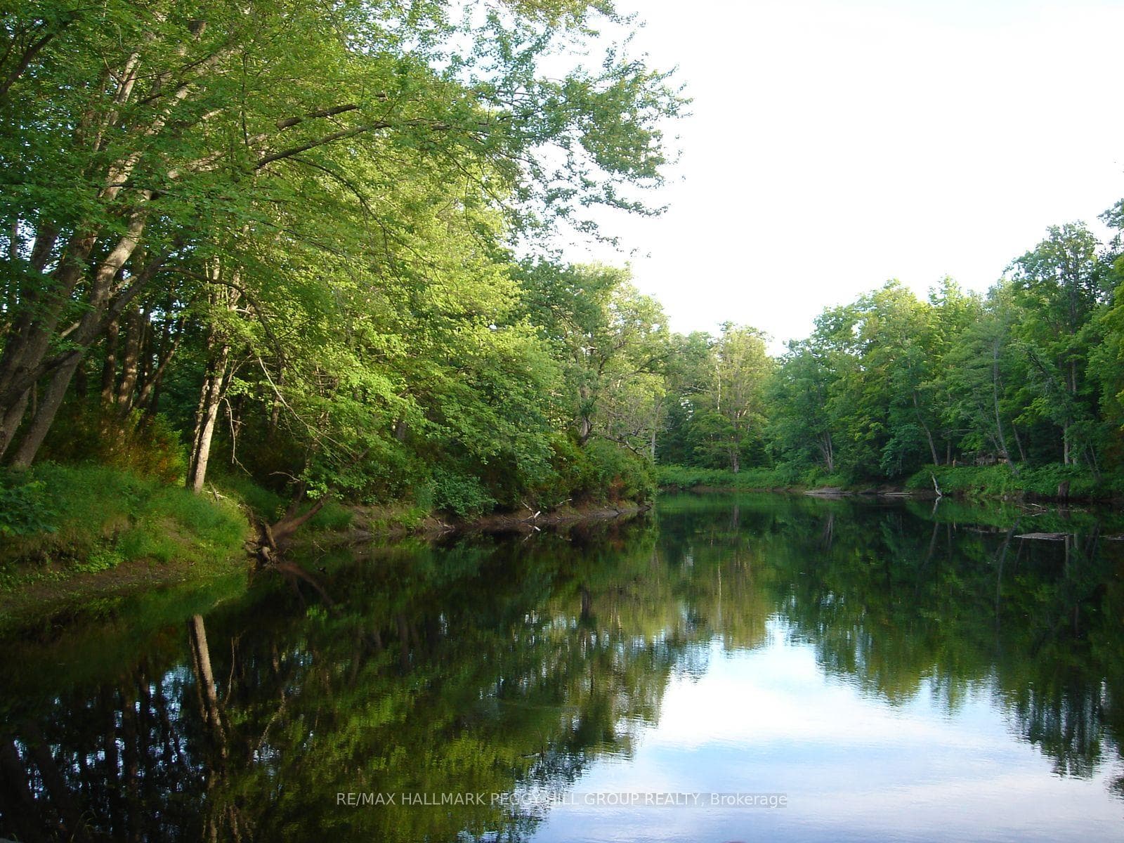 7012 County Road 169 N/A photo 13
