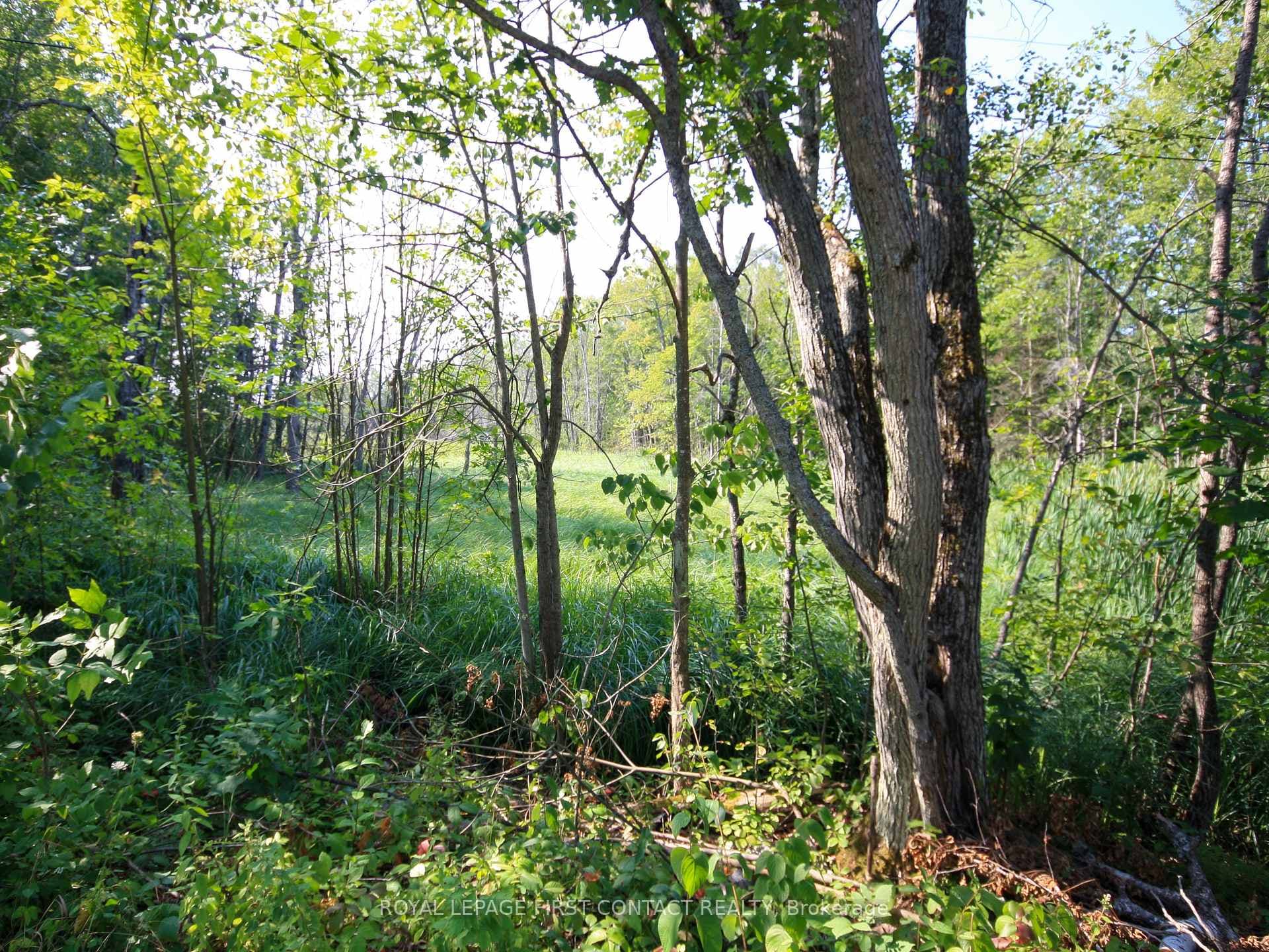 213 Birch Acres Drive photo 27