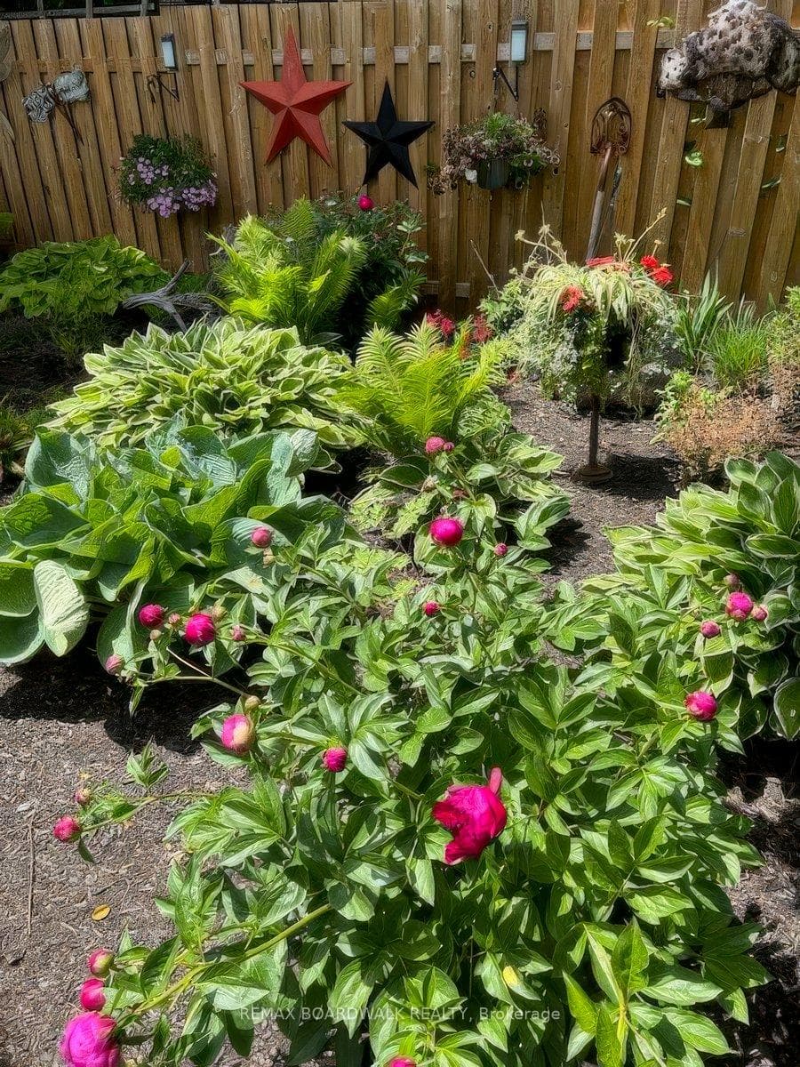 Summer garden