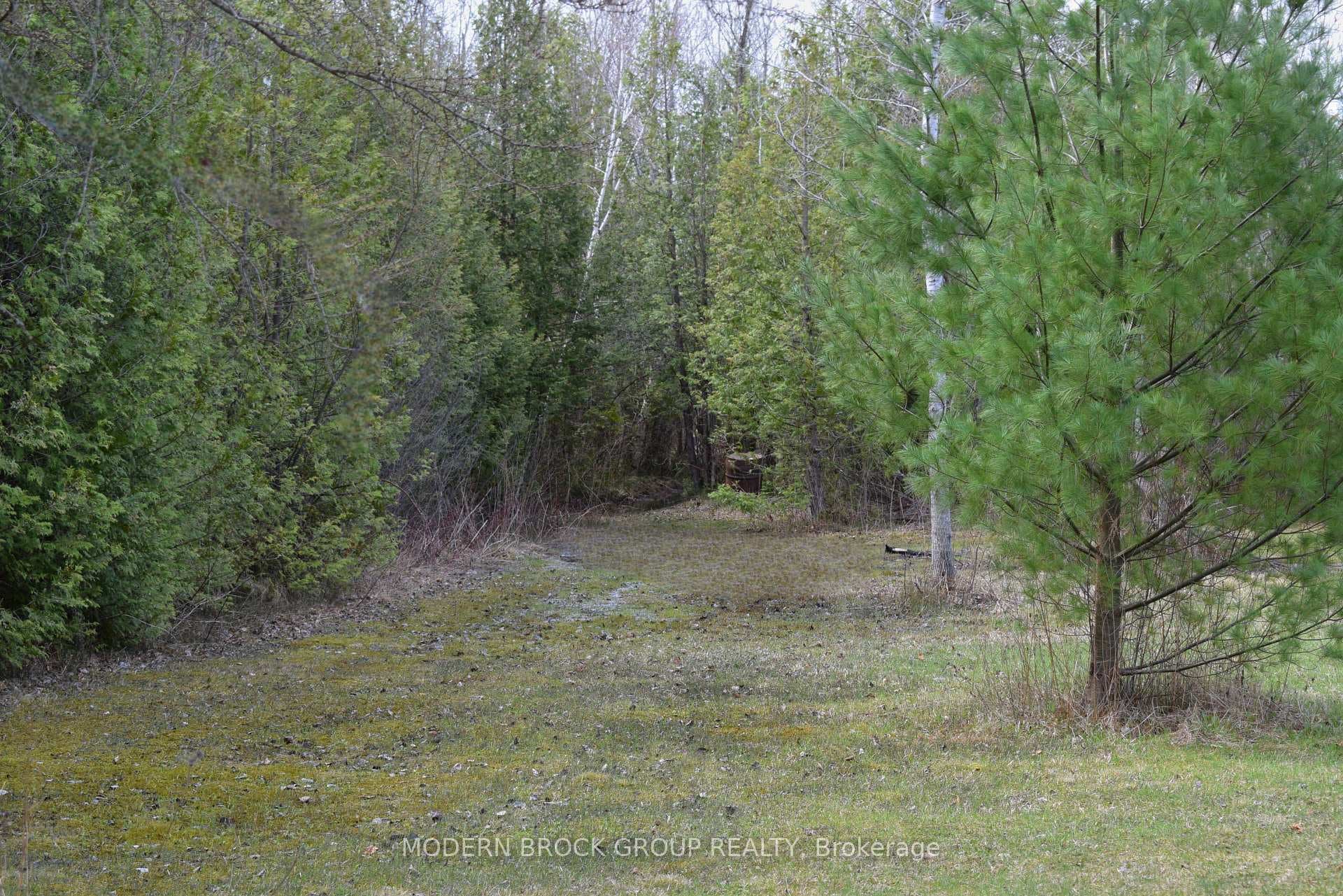 Another trail