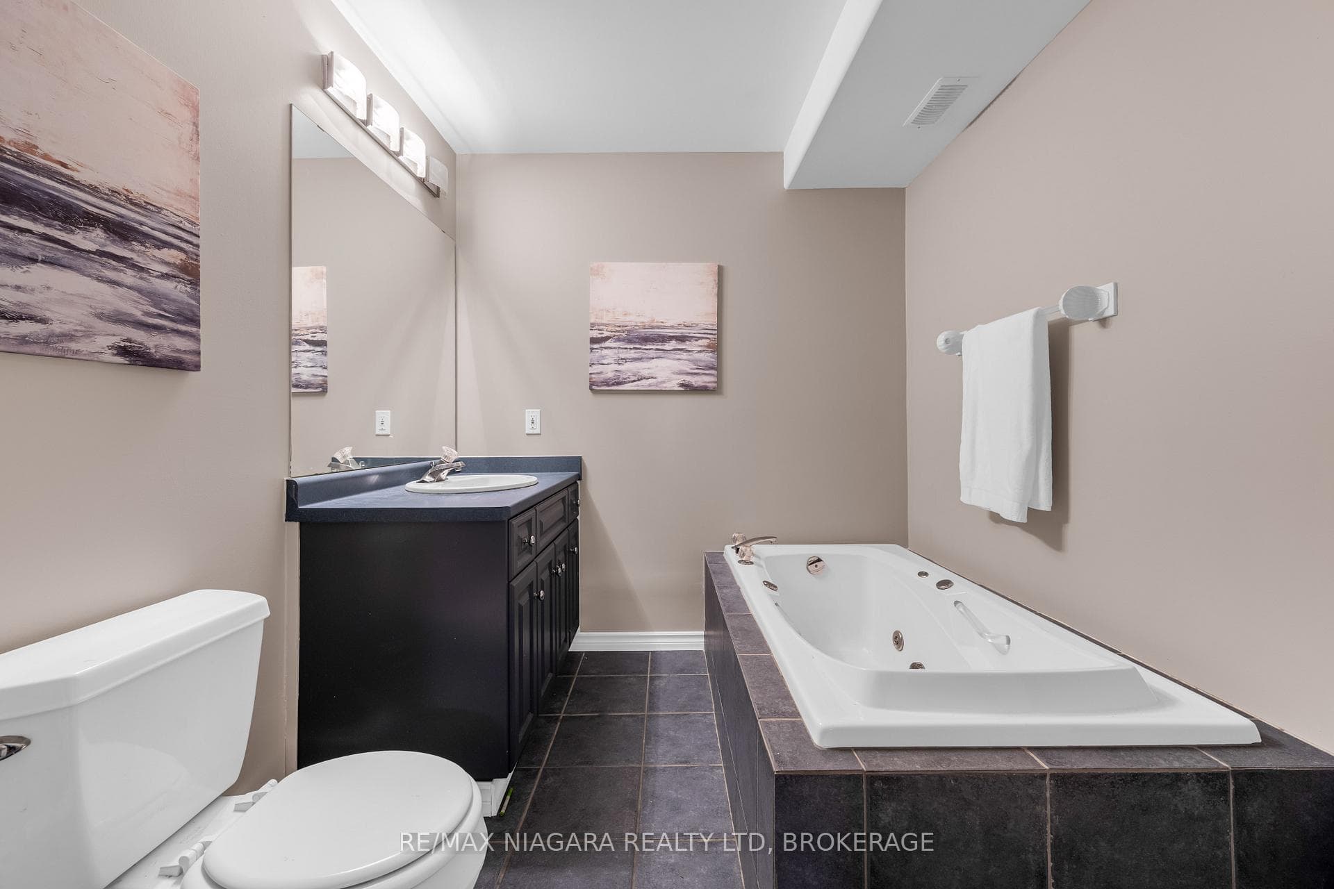 lower level bathroom