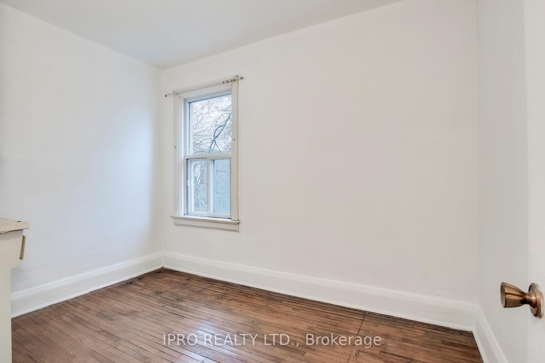 513 Carlaw Avenue photo 20