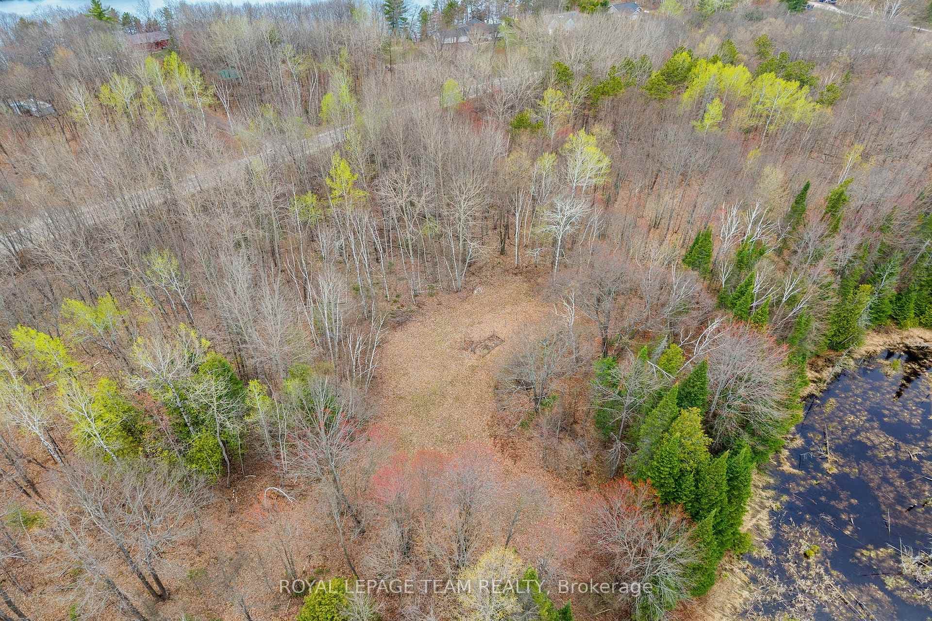 206 Olmstead-Jeffrey Lake Road photo 2