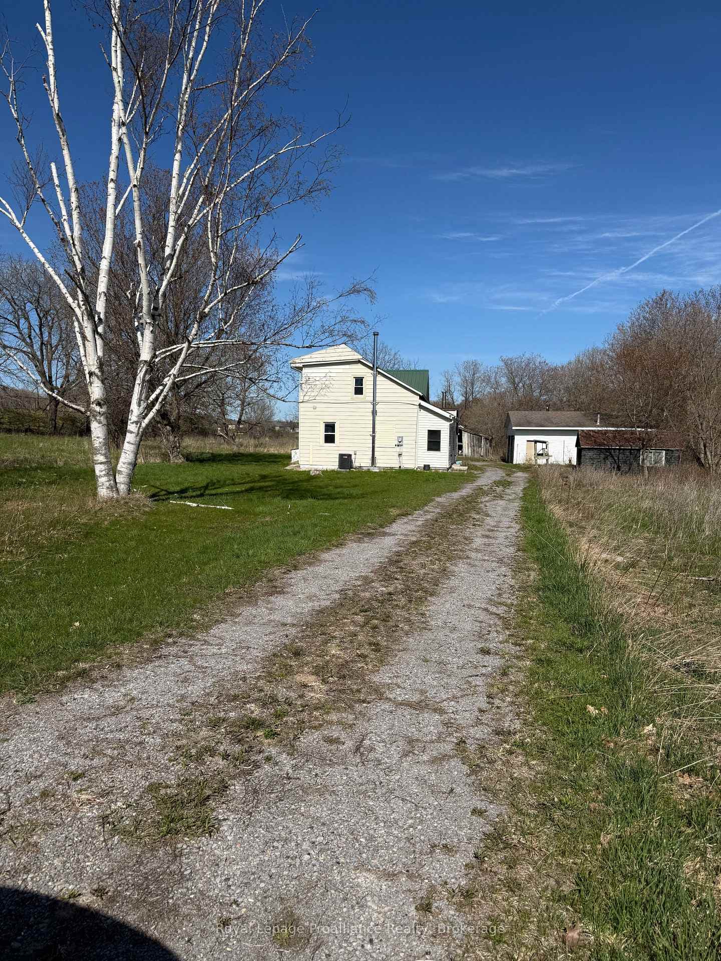 303 Brimley Road photo 1
