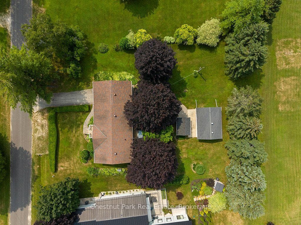 216 Margaret Street photo 28