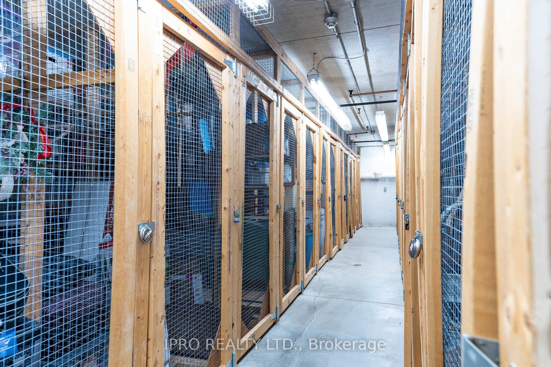 137 Martin Street Unit 202 photo 14