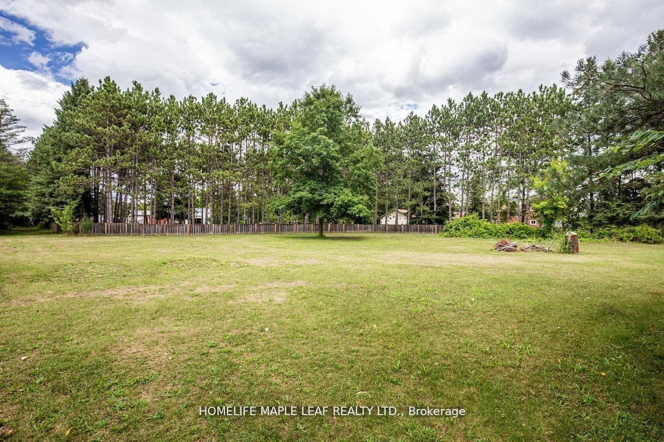 6168 County Road 9 N/A photo 31