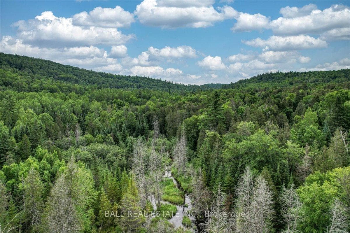 280 Lower Rosenthal Road photo 7