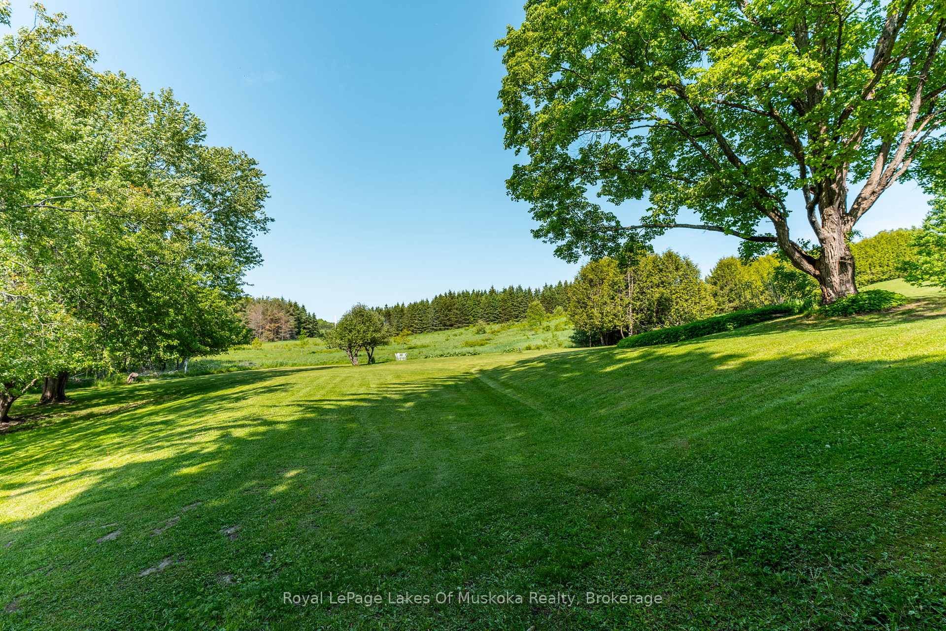 229 Fraserburg Road photo 43
