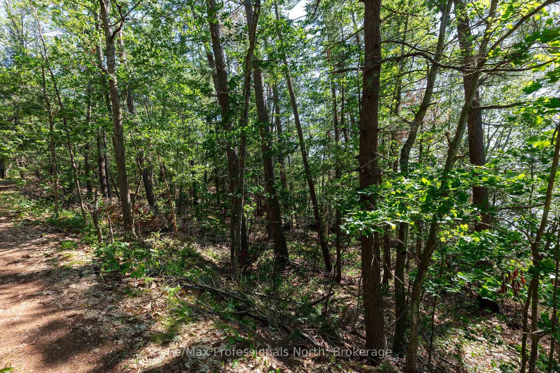 Land Left of cottage