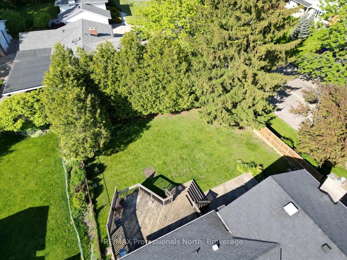 Overview of yard