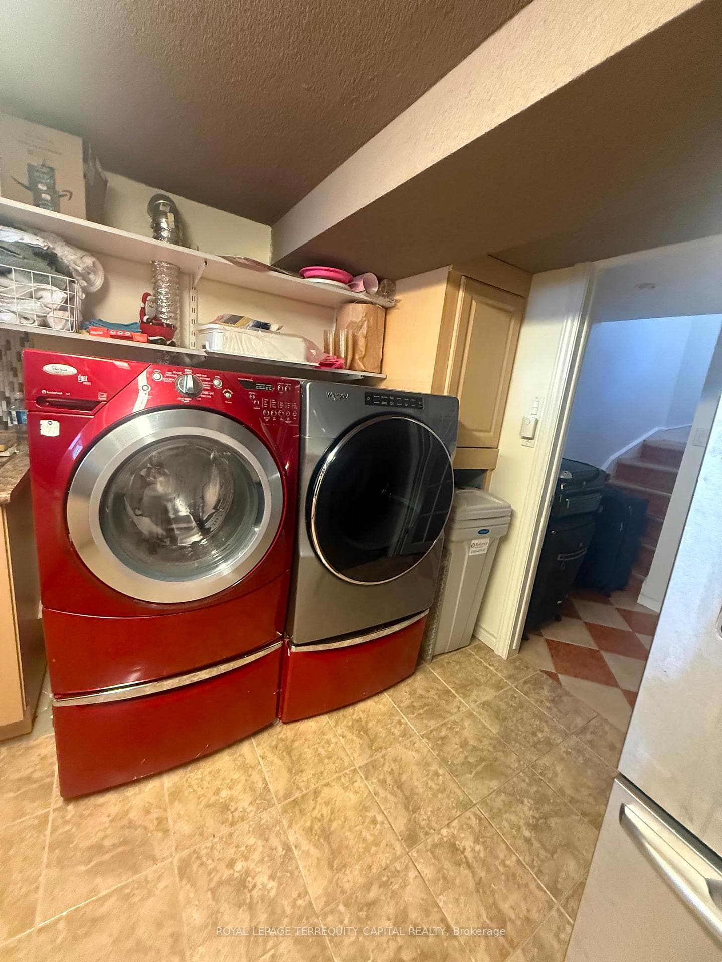 29 Glamis Avenue Unit Lower photo 18