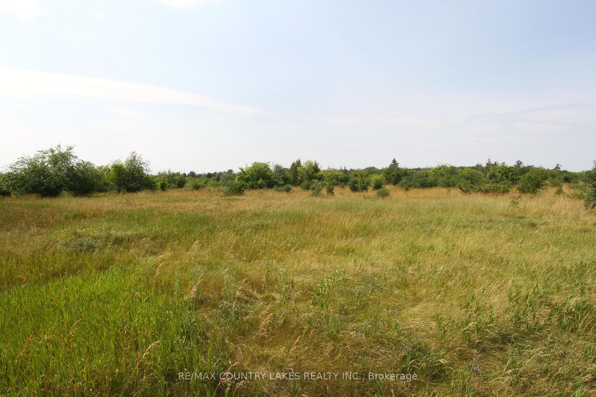 Lt7 County Road 48 N/A photo 5