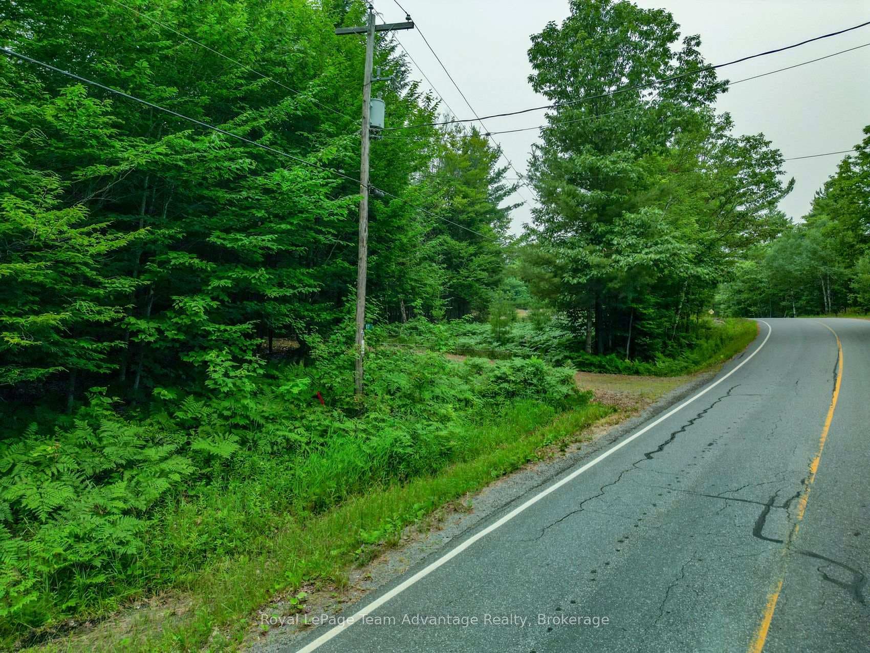 97 Carling Bay Road photo 5
