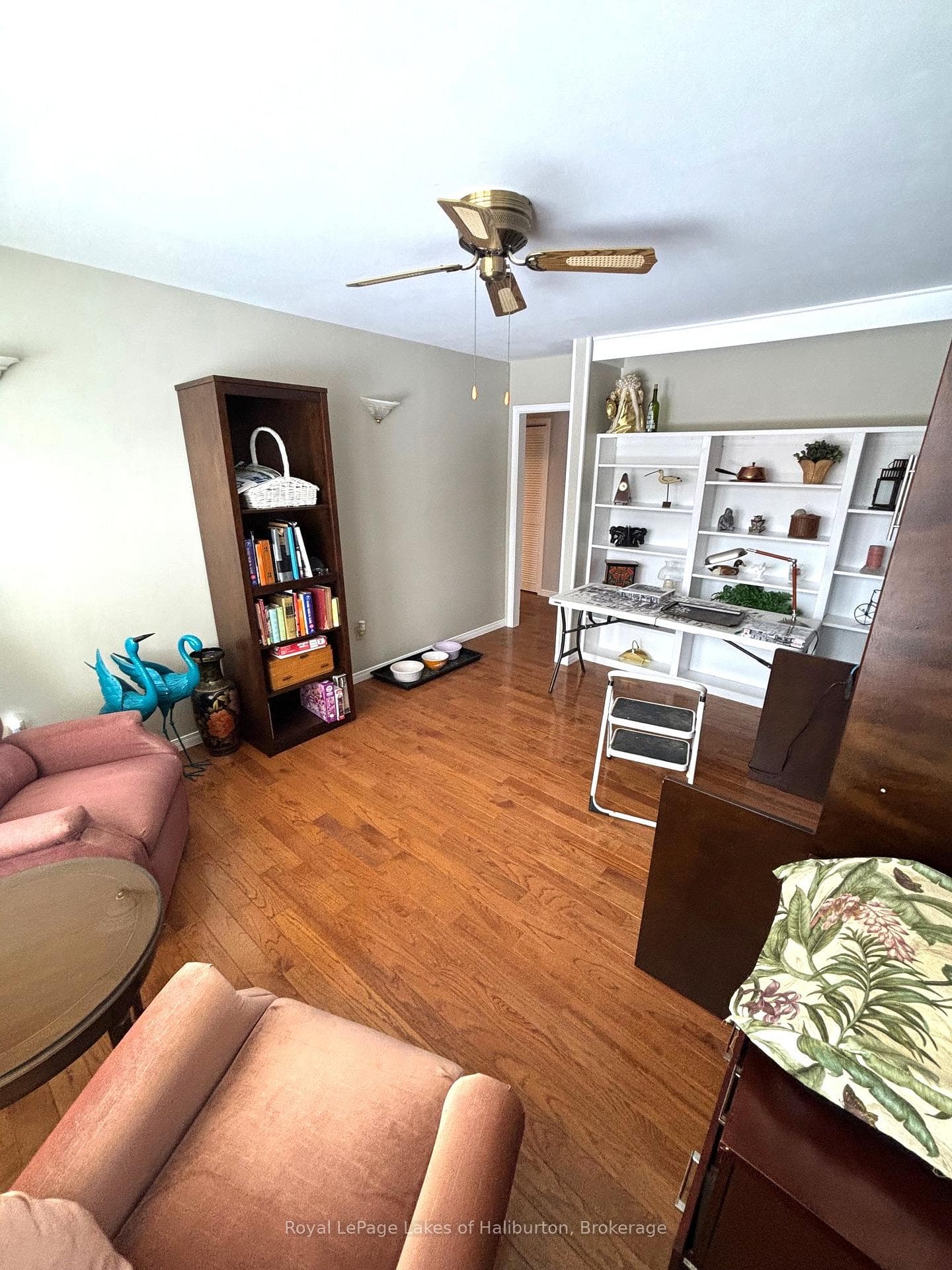 7 Regina Road photo 19