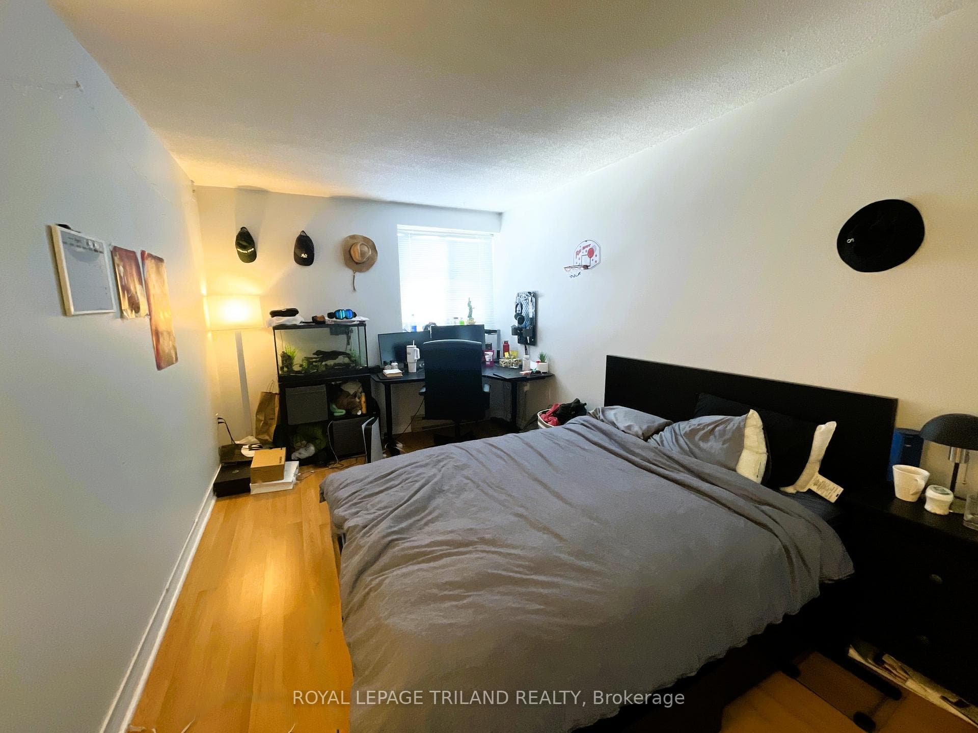 695 Richmond Street Unit 802 photo 16