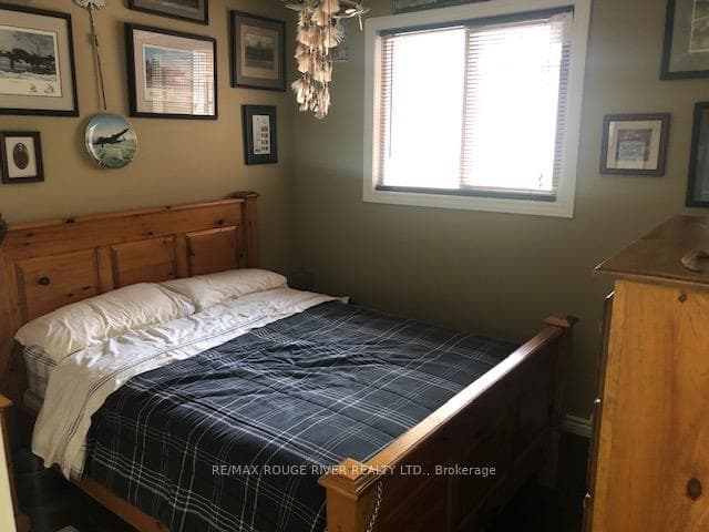 10 Marion Drive photo 9