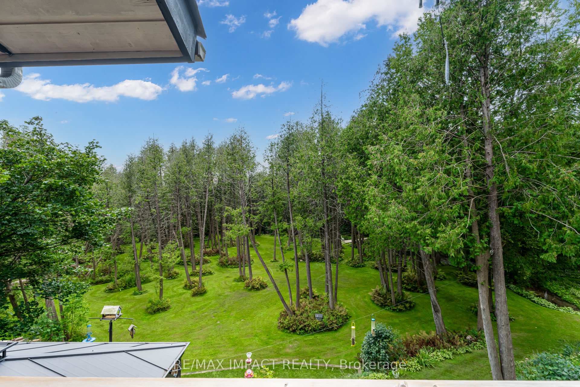 Privacy on 2 acres