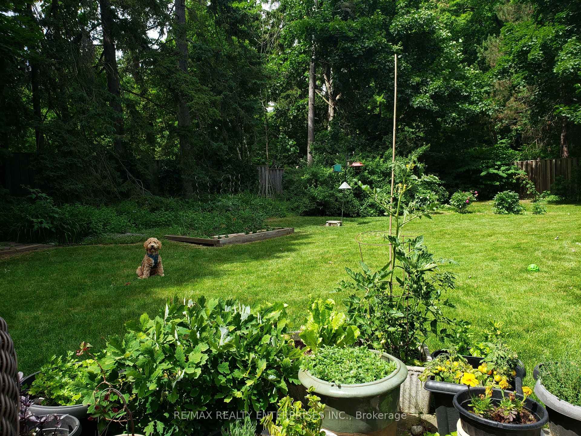 35 Hollyrood Heights Drive photo 39