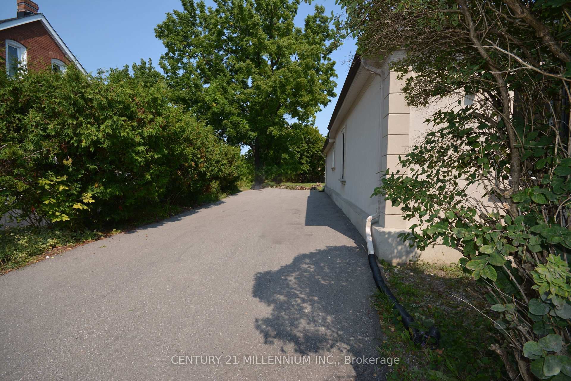 8 West Street photo 17