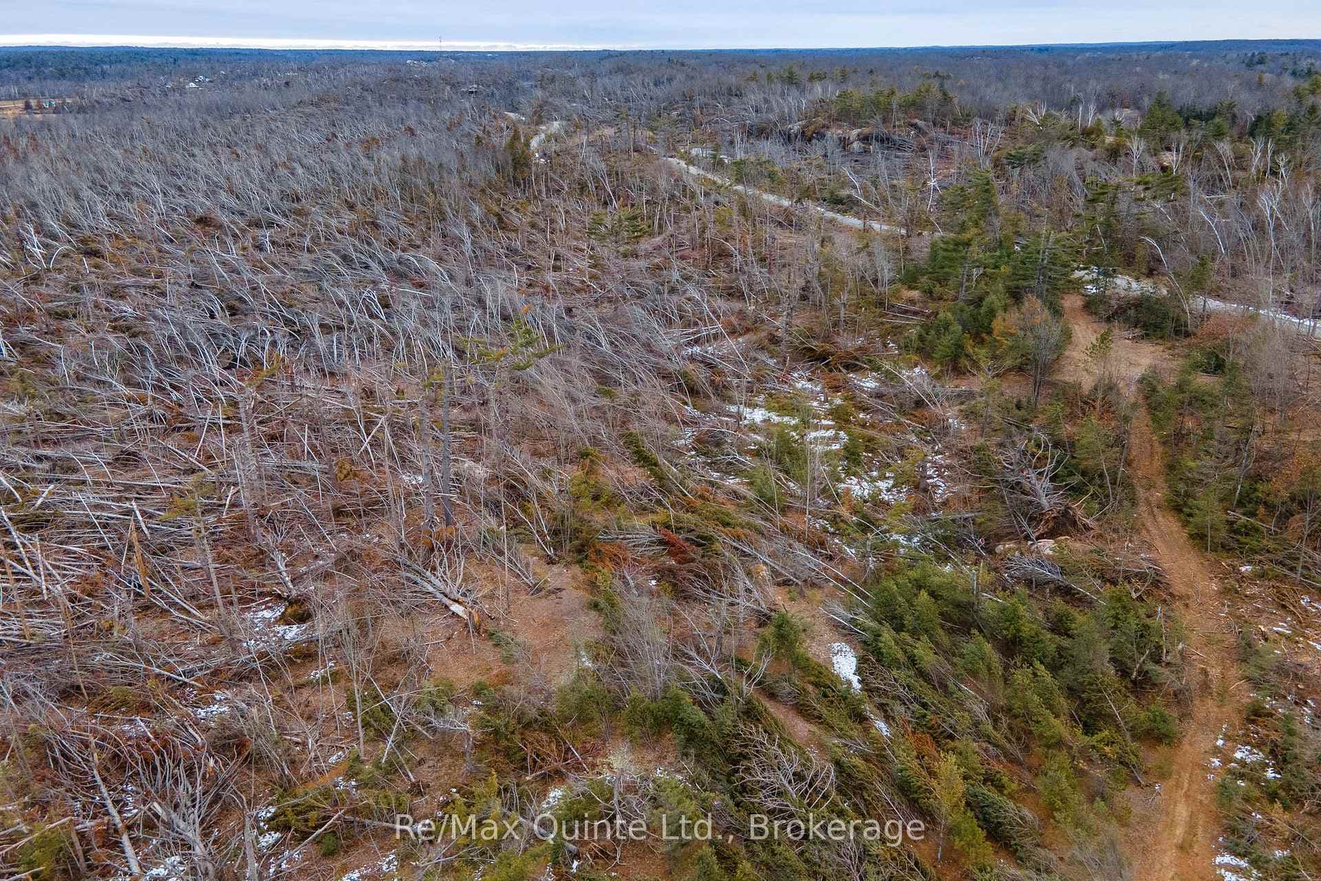 0 Potter Settlement Road photo 9