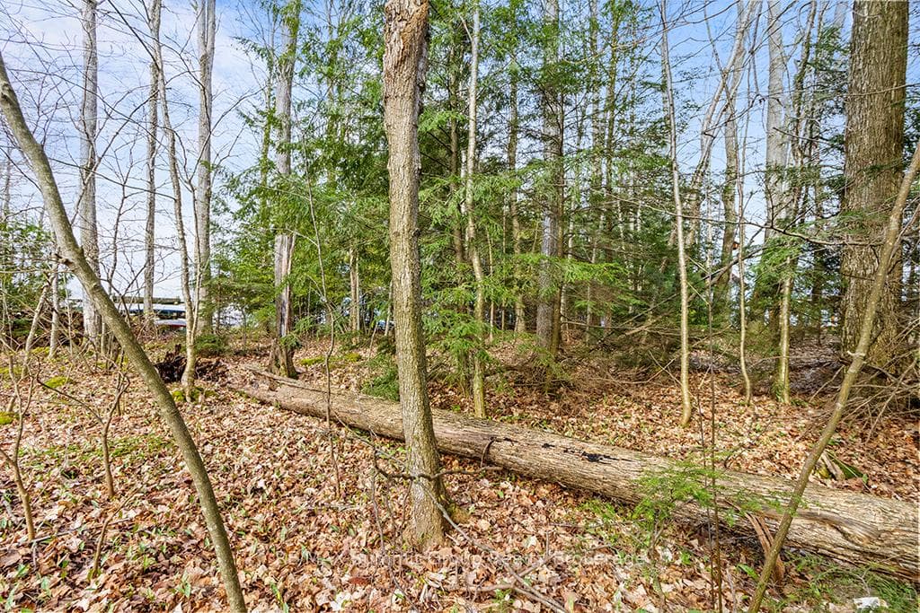202 Lakeshore Boulevard photo 14