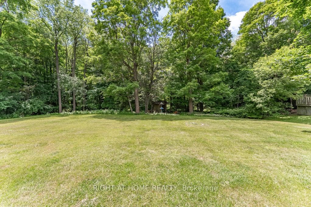 16 Snowberry Court photo 45