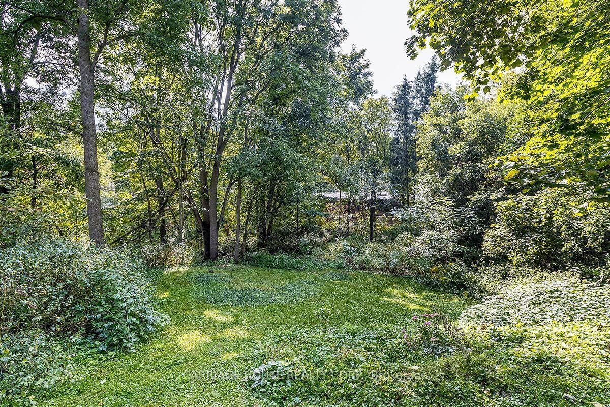 17 Terry Court photo 33