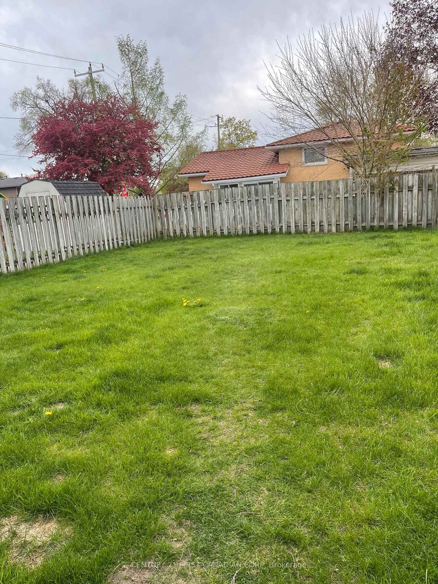 196 Adelaide Street photo 7