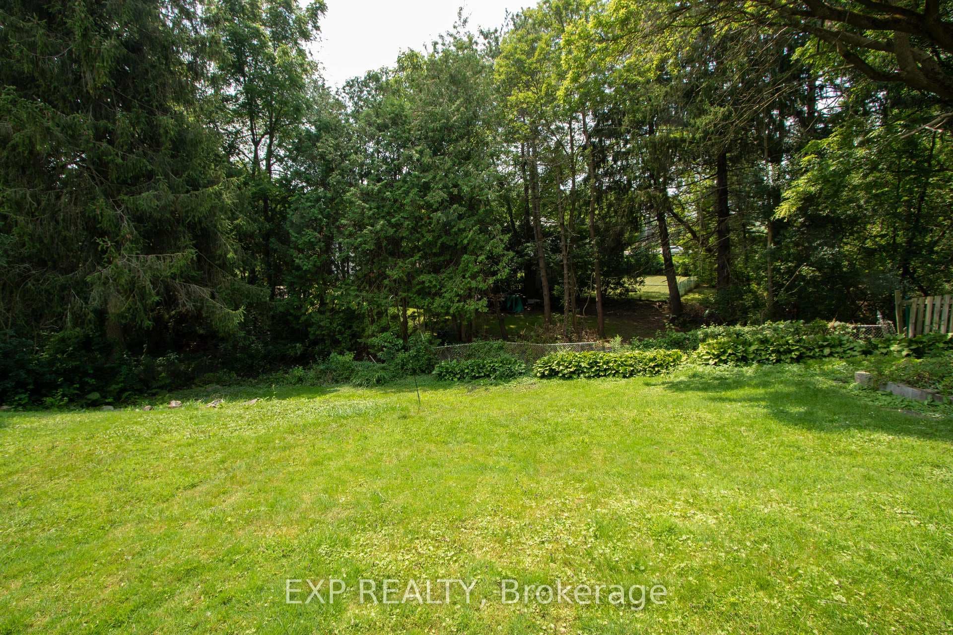189 John Street photo 35